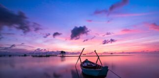 Jaki kolor świateł obrysowych? Jaki kolor świateł obrysowych?