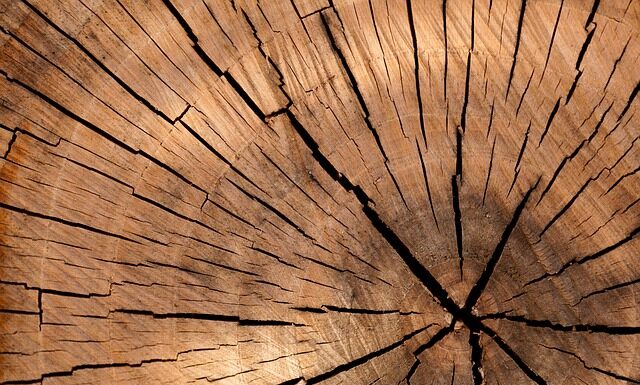 Ile drewna na zimę do pieca?