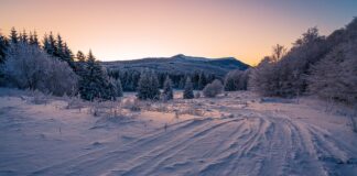 Czym konserwować opony domowym sposobem? Czym konserwować opony domowym sposobem?