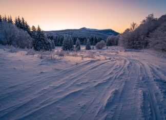 Czym konserwować opony domowym sposobem? Czym konserwować opony domowym sposobem?