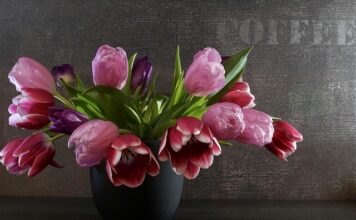 Jak założyć sprężynę do Oprawy halogenu?